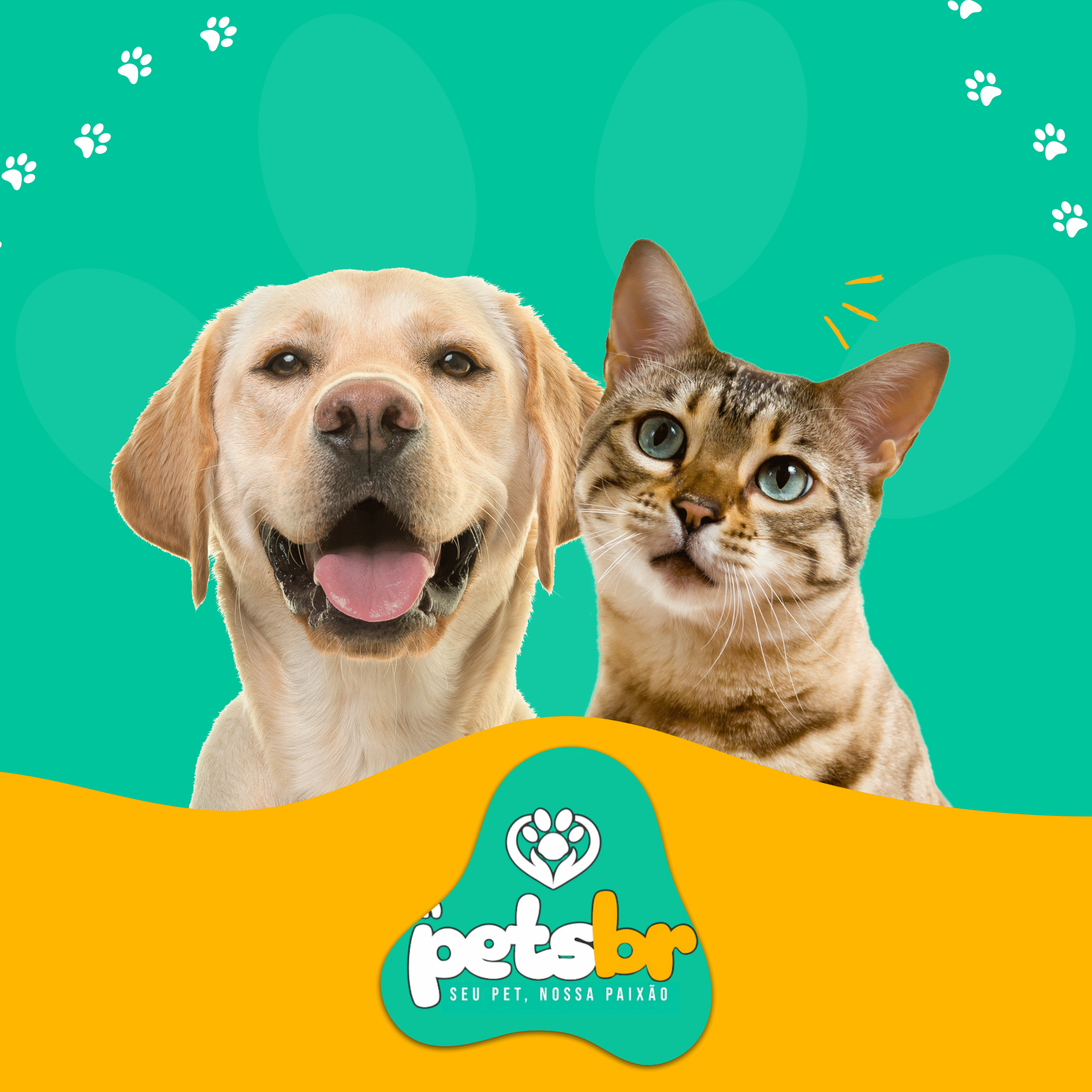 Petshop Perto de Mim